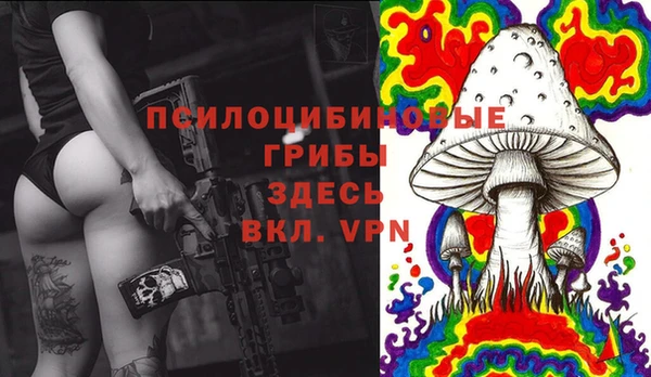 каннабис Арсеньев