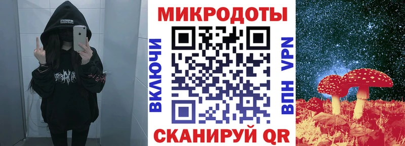 купить наркоту  Удомля  Галлюциногенные грибы мухоморы 